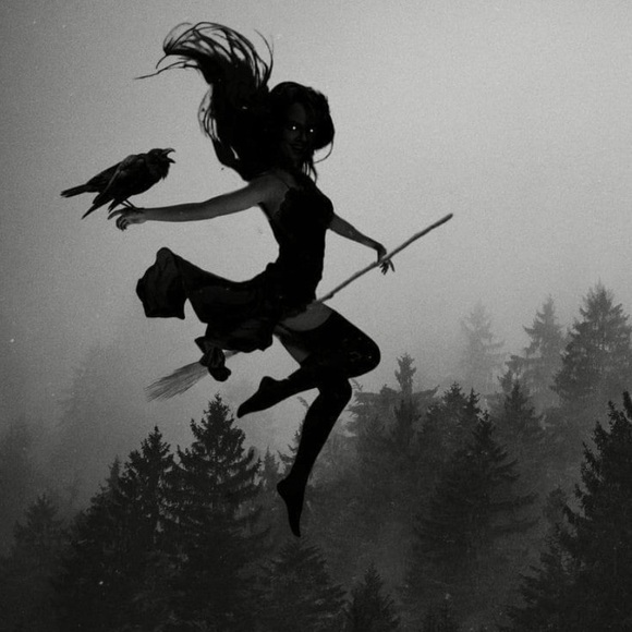 Like to be notified when I go live!  SHOPLIKEYOU - Picture 14 of 16